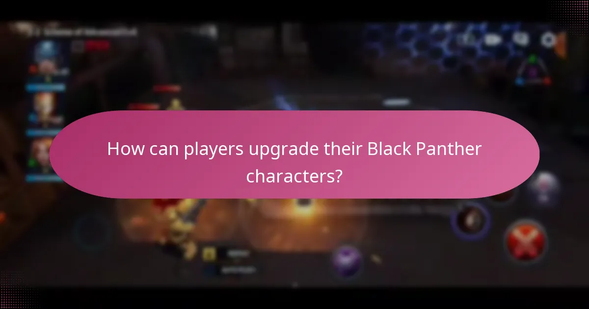 Which exclusive offers are available for Black Panther products?